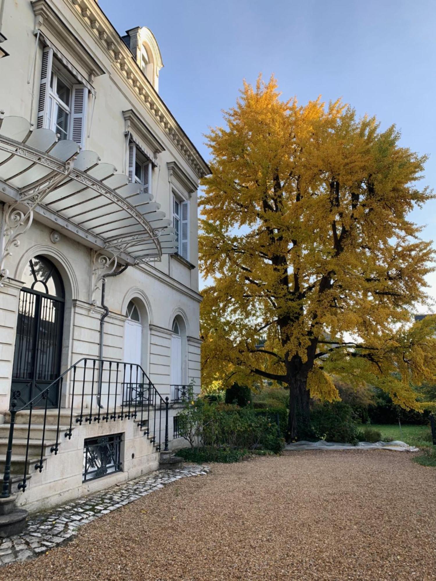 A L'Abri Du Ginkgo Appartement Tours Buitenkant foto