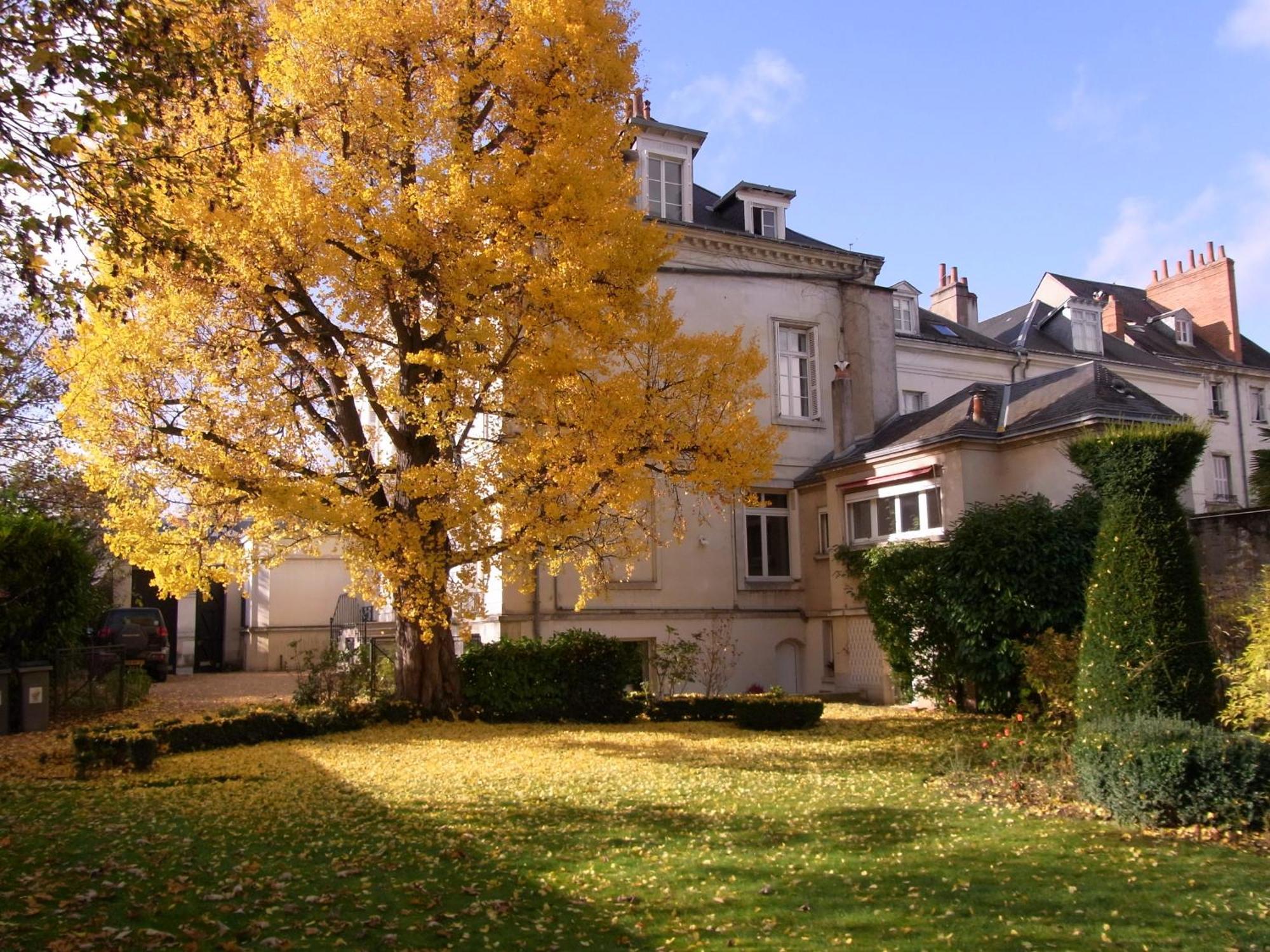 A L'Abri Du Ginkgo Appartement Tours Buitenkant foto